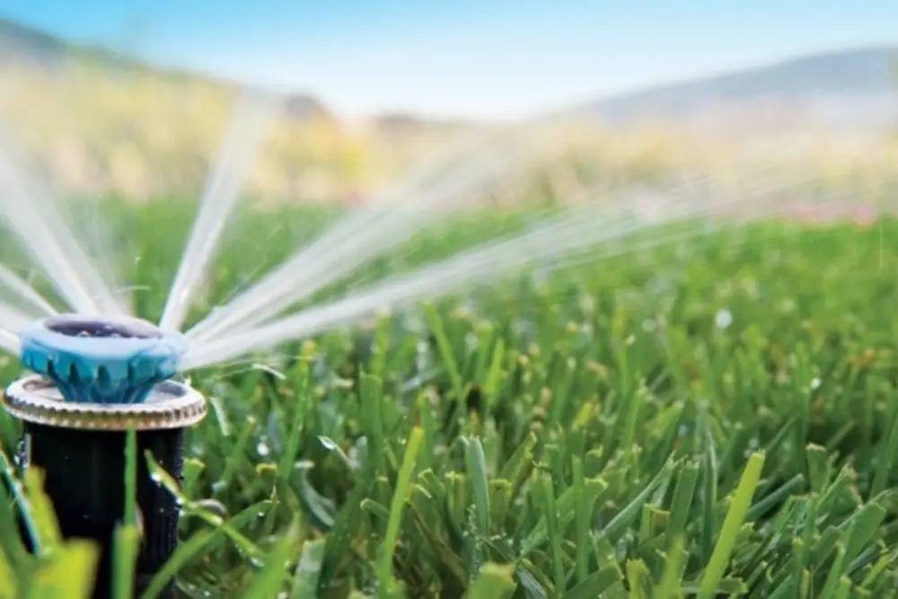 sistema de riego Villena